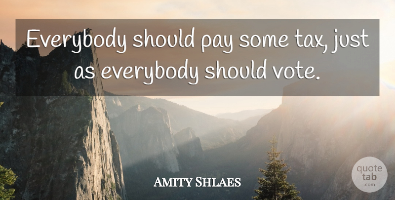 Amity Shlaes Quote About Pay, Vote, Should: Everybody Should Pay Some Tax...