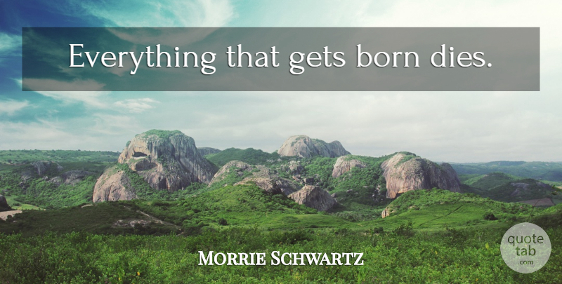 Morrie Schwartz Quote About Born, Dies: Everything That Gets Born Dies...
