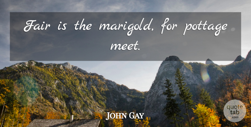 John Gay Quote About Marigolds, Fairs: Fair Is The Marigold For...