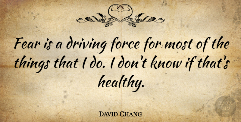 David Chang Quote About Fear, Force: Fear Is A Driving Force...