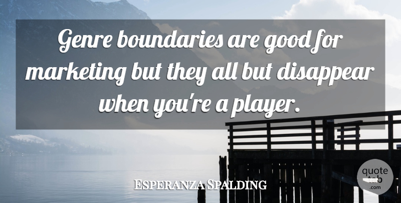Esperanza Spalding Quote About Disappear, Genre, Good: Genre Boundaries Are Good For...