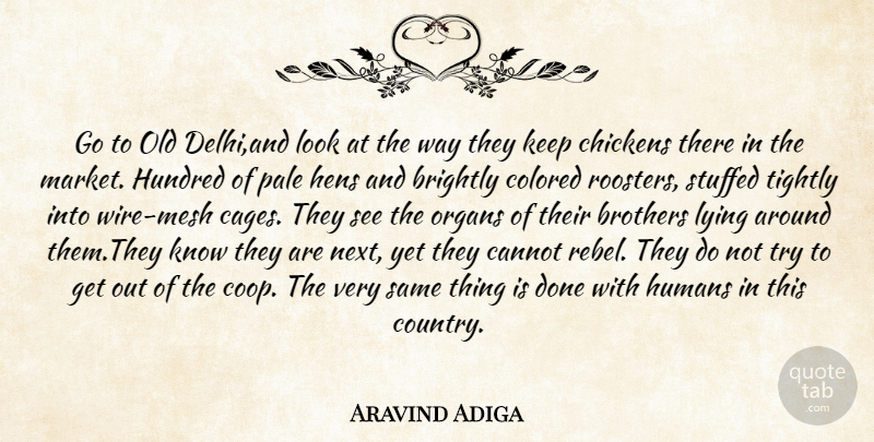 Aravind Adiga Quote About Country, Brother, Lying: Go To Old Delhiand Look...