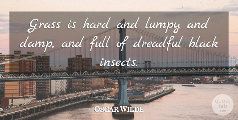 Oscar Wilde Quote About Black, Insects, Grass: Grass Is Hard And Lumpy...