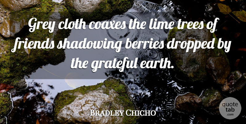 Bradley Chicho Quote About Berries, Cloth, Dropped, Grey, Lime: Grey Cloth Coaxes The Lime...