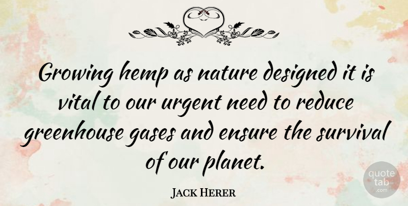 Jack Herer Quote About Survival, Needs, Growing: Growing Hemp As Nature Designed...