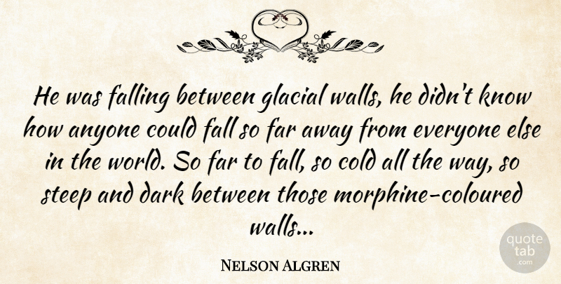Nelson Algren Quote About Wall, Fall, Dark: He Was Falling Between Glacial...