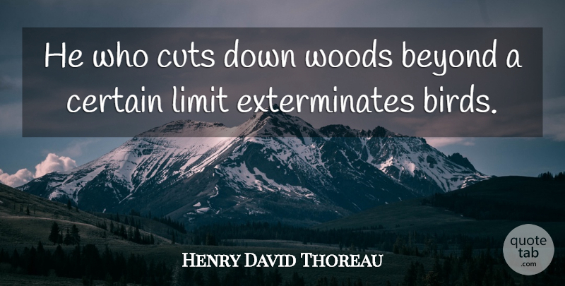 Henry David Thoreau Quote About Cutting, Bird, Woods: He Who Cuts Down Woods...