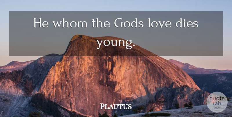 Plautus Quote About Latin, God Love, Young: He Whom The Gods Love...