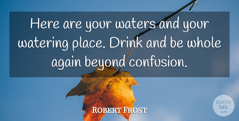 Robert Frost Quote About Water, Confusion, Drink: Here Are Your Waters And...