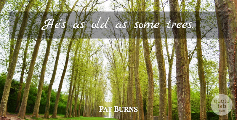 Pat Burns Quote About Hockey, Tree: Hes As Old As Some...