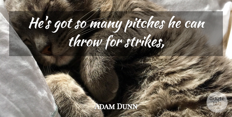 Adam Dunn Quote About Pitches, Throw: Hes Got So Many Pitches...