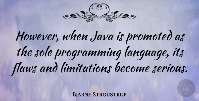 Bjarne Stroustrup Quote About Java, Serious, Language: However When Java Is Promoted...