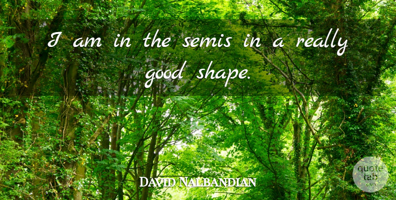 David Nalbandian Quote About Good: I Am In The Semis...