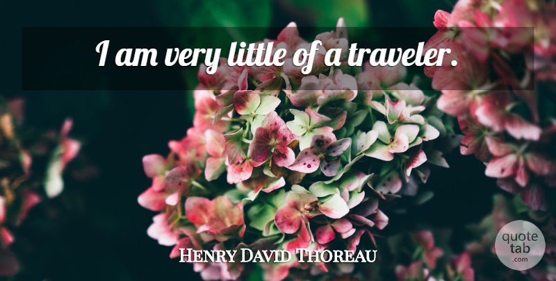 Henry David Thoreau Quote About Travel, Littles, Traveler: I Am Very Little Of...