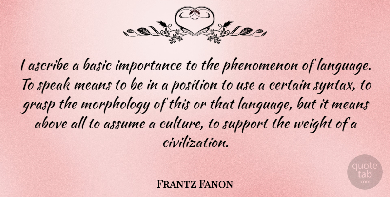 Frantz Fanon Quote About Mean, Civilization, Support: I Ascribe A Basic Importance...