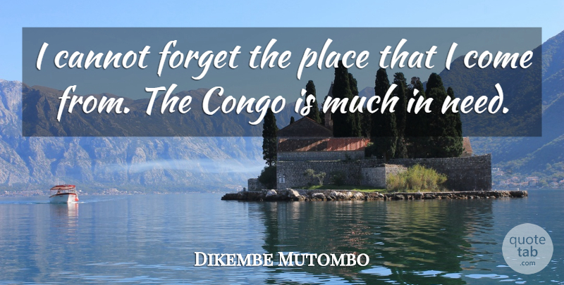 Dikembe Mutombo Quote About Needs, Forget, Congo: I Cannot Forget The Place...