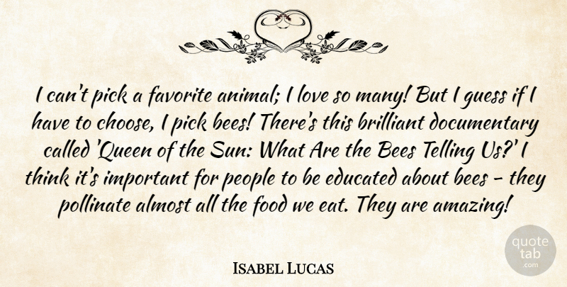 Isabel Lucas Quote About Almost, Amazing, Bees, Brilliant, Educated: I Cant Pick A Favorite...