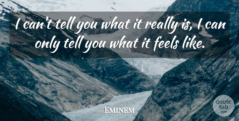 Eminem Quote About Feels, I Can: I Cant Tell You What...