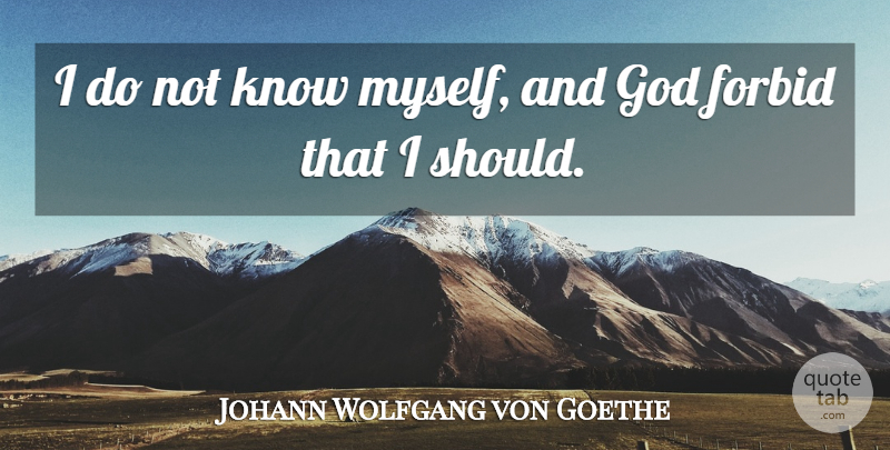 Johann Wolfgang von Goethe Quote About Humorous, Should, Knows: I Do Not Know Myself...