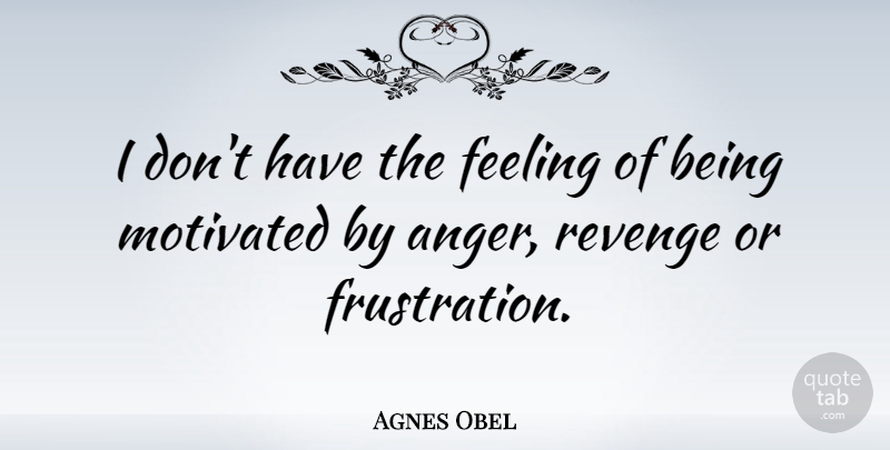 Agnes Obel Quote About Revenge, Frustration, Feelings: I Dont Have The Feeling...