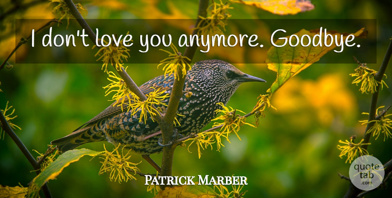 Patrick Marber Quote About Goodbye, Love You, I Dont Love You Anymore: I Dont Love You Anymore...