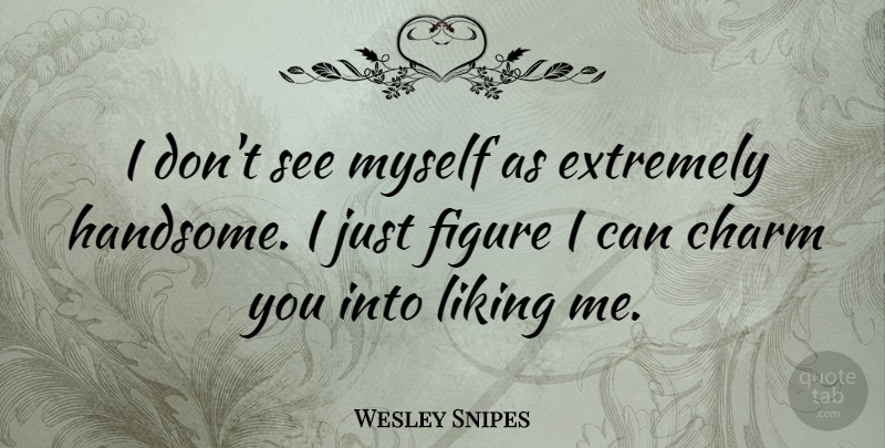 Wesley Snipes Quote About Handsome, Charm, Figures: I Dont See Myself As...