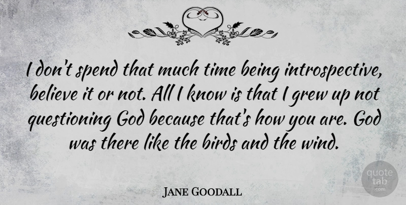 Jane Goodall Quote About Believe, Wind, Bird: I Dont Spend That Much...