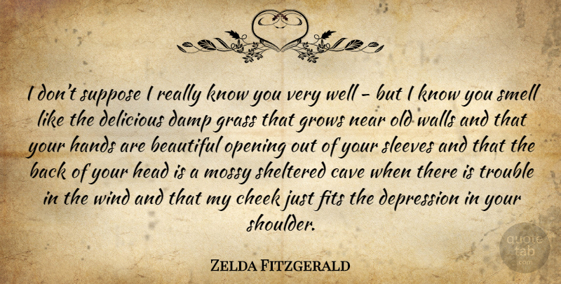 Zelda Fitzgerald Quote About Beautiful, Wall, Hands: I Dont Suppose I Really...