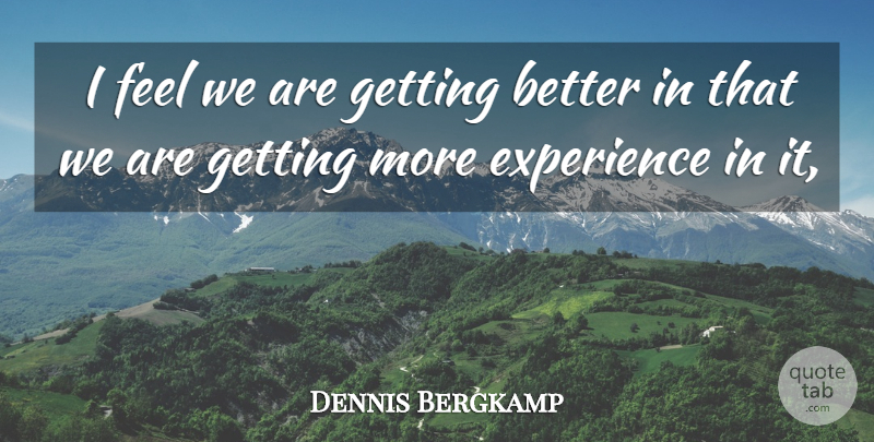 Dennis Bergkamp Quote About Experience: I Feel We Are Getting...