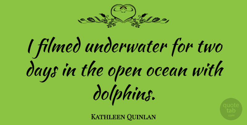 Kathleen Quinlan Quote About Ocean, Two, Dolphins: I Filmed Underwater For Two...