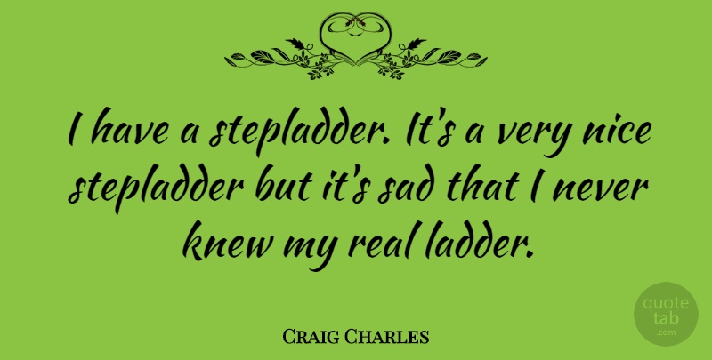 Craig Charles Quote About Nice, Real, Ladders: I Have A Stepladder Its...