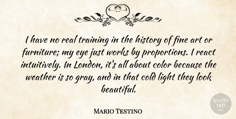 Mario Testino Quote About Art, Cold, Color, Eye, Fine: I Have No Real Training...