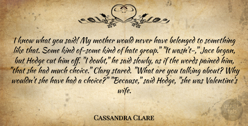 Cassandra Clare Quote About Mother, Hate, Valentine: I Know What You Said...
