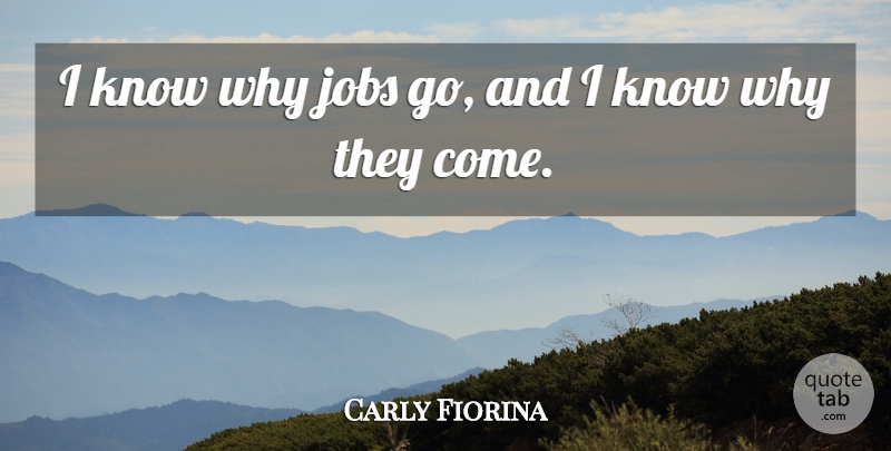 Carly Fiorina Quote About Jobs, Knows: I Know Why Jobs Go...