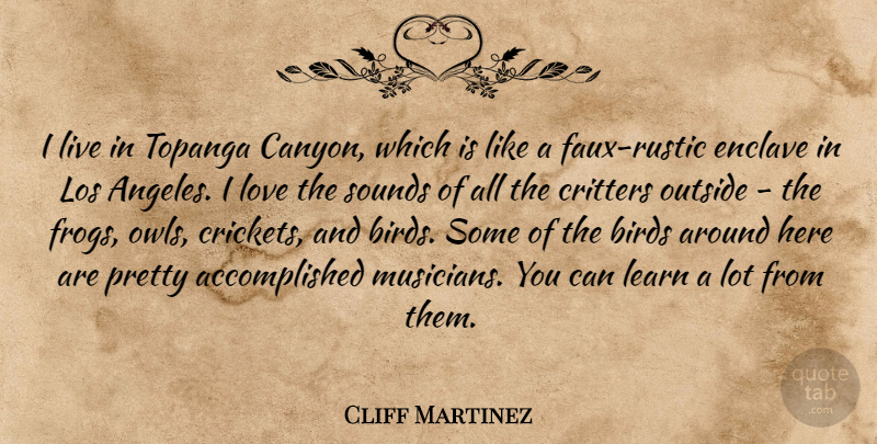 Cliff Martinez Quote About Bird, Owl, Frogs: I Live In Topanga Canyon...
