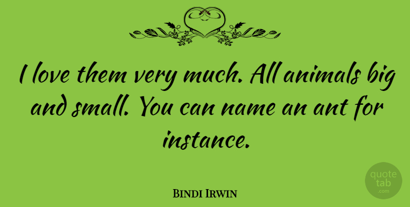 Bindi Irwin Quote About Animal, Names, Ants: I Love Them Very Much...