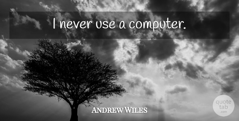 Andrew Wiles Quote About Use, Computer, Mathematical: I Never Use A Computer...