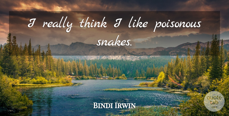 Bindi Irwin Quote About Thinking, Snakes, Poisonous Snakes: I Really Think I Like...