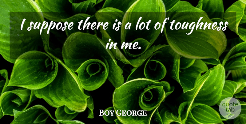 Boy George Quote About Toughness: I Suppose There Is A...
