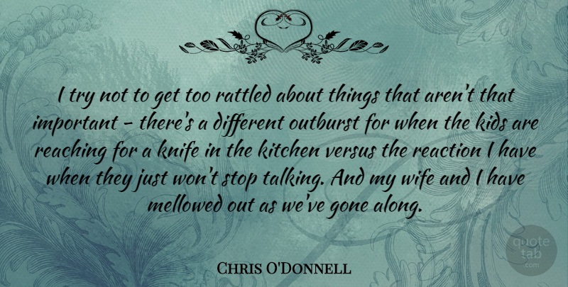 Chris O'Donnell Quote About Kids, Talking, Knives: I Try Not To Get...