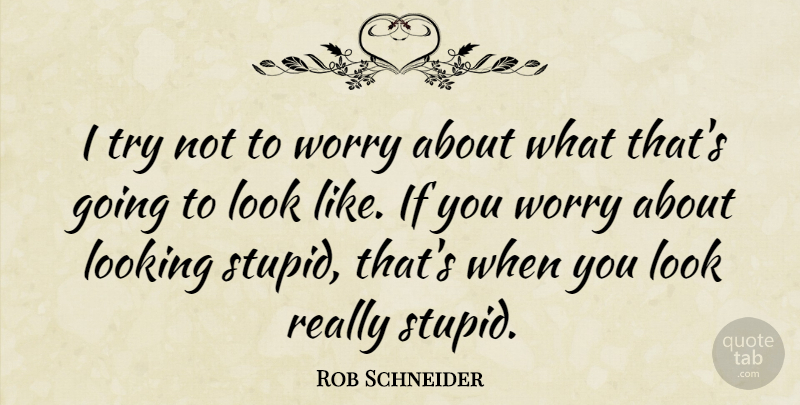 Rob Schneider Quote About Stupid, Worry, Trying: I Try Not To Worry...