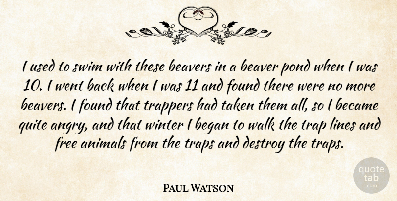 Paul Watson Quote About Animals, Beaver, Beavers, Became, Began: I Used To Swim With...