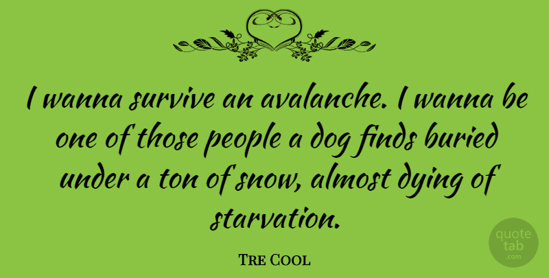 Tre Cool Quote About Dog, Snow, People: I Wanna Survive An Avalanche...