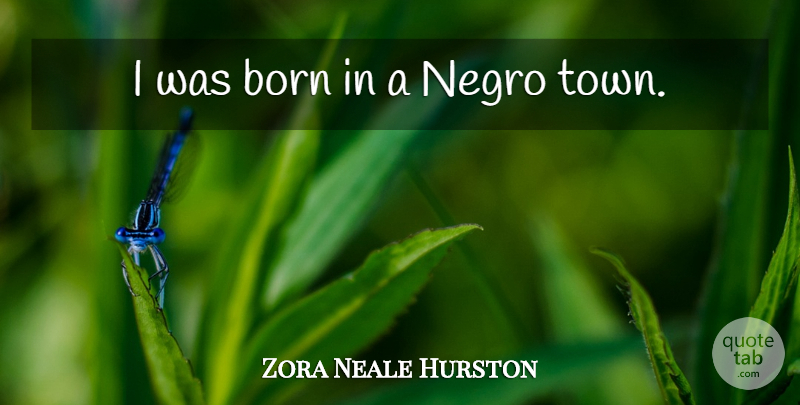 Zora Neale Hurston Quote About Race, Towns, Birth: I Was Born In A...