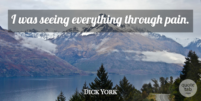Dick York Quote About Pain, Plunge, Seeing: I Was Seeing Everything Through...