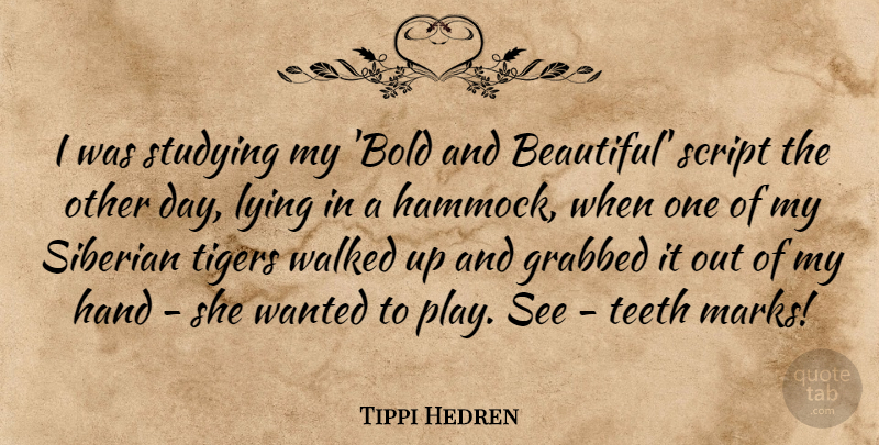 Tippi Hedren Quote About Beautiful, Lying, Hands: I Was Studying My Bold...