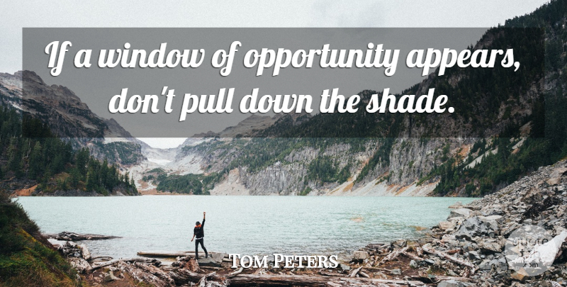 Tom Peters Quote About Inspirational, Success, Opportunity: If A Window Of Opportunity...