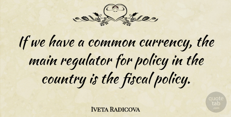 Iveta Radicova Quote About Country, Fiscal Policy, Common: If We Have A Common...