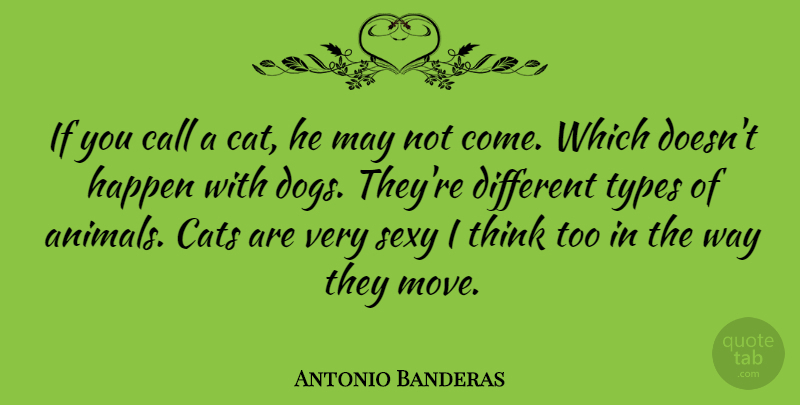 Antonio Banderas Quote About Sexy, Dog, Moving: If You Call A Cat...