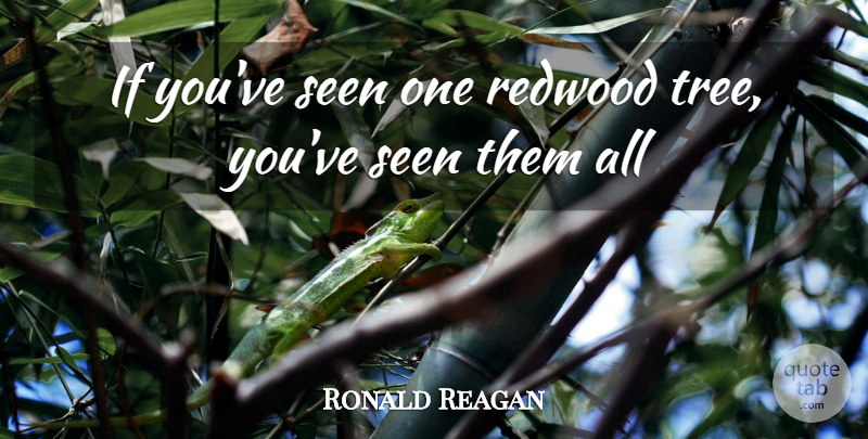 Ronald Reagan Quote About Silly, Tree, Dumb: If Youve Seen One Redwood...